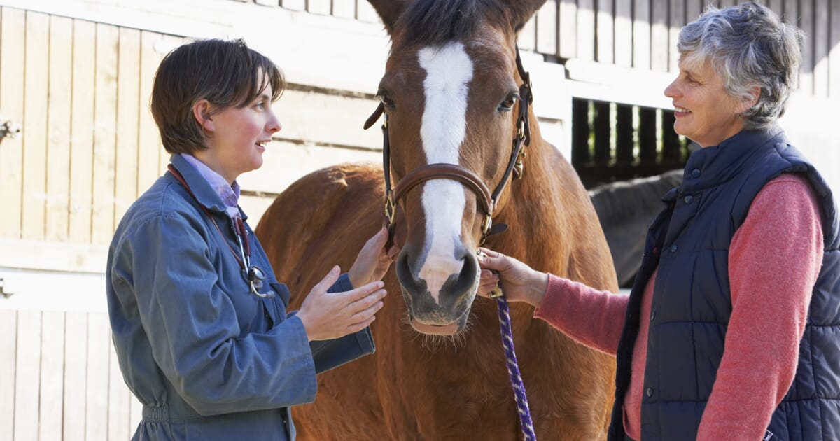 Approaching Cases Of Guttural Pouch Mycosis Veterinary Practice Approaching Cases Of Guttural Pouch Mycosis Veterinary Practice