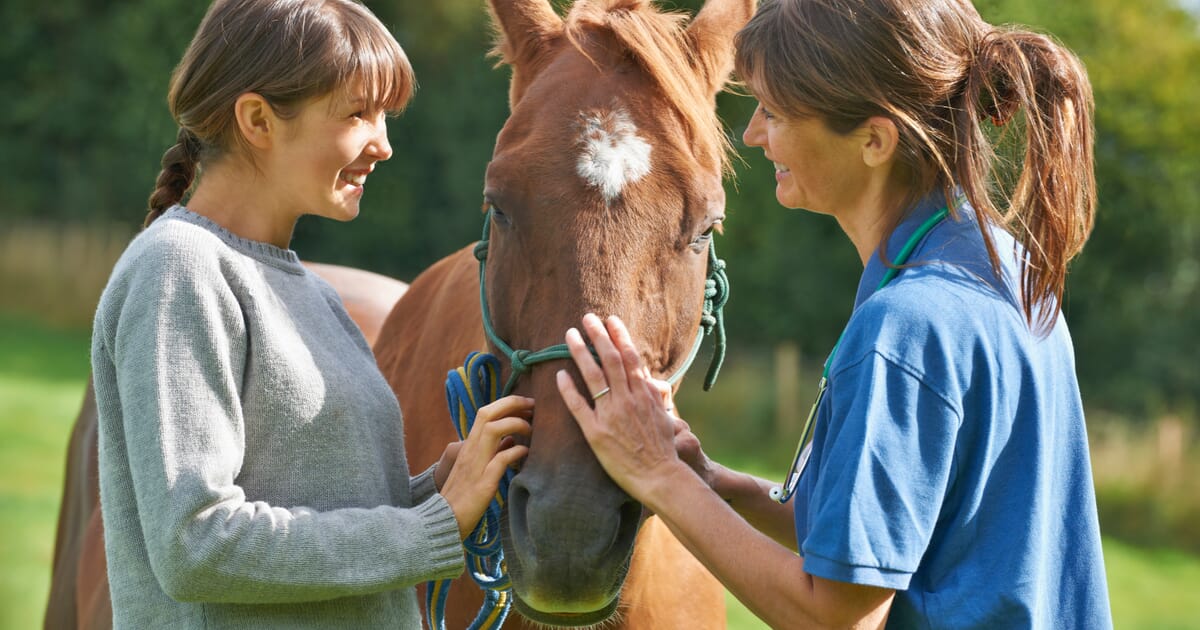 Recording Skills Examining The Art Form Veterinary Practice