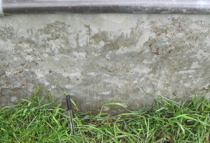 Badger claw marks on water trough