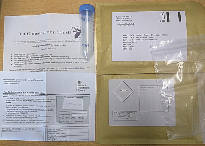 Packs for submitting dead bats to the APHA for rabies testing are available from the National Bat Helpline