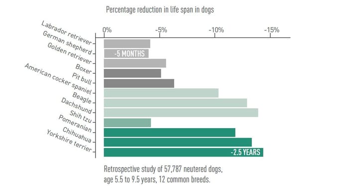 FIGURE (1) Overweight dogs have a reduced life expectancy of up to two and a half years
