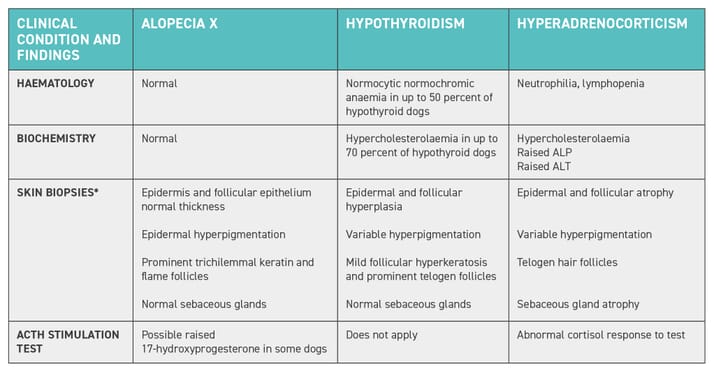 Alopecia X: what does it stand for? | Veterinary Practice