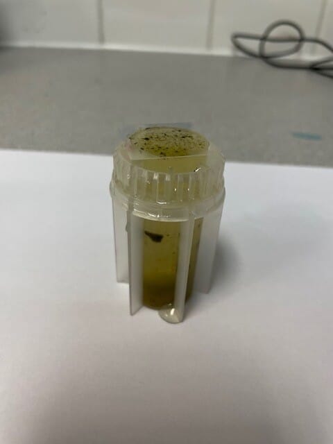 Figure (1) A faecal flotation in progress. This is an easy and quick test that can be performed in the veterinary clinic