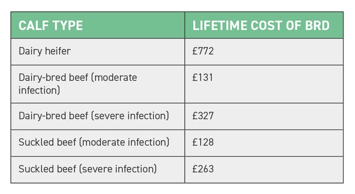 TABLE (2) The total economic lifetime cost of respiratory disease in dairy and beef calves can be as high as £772 per case in dairy heifers