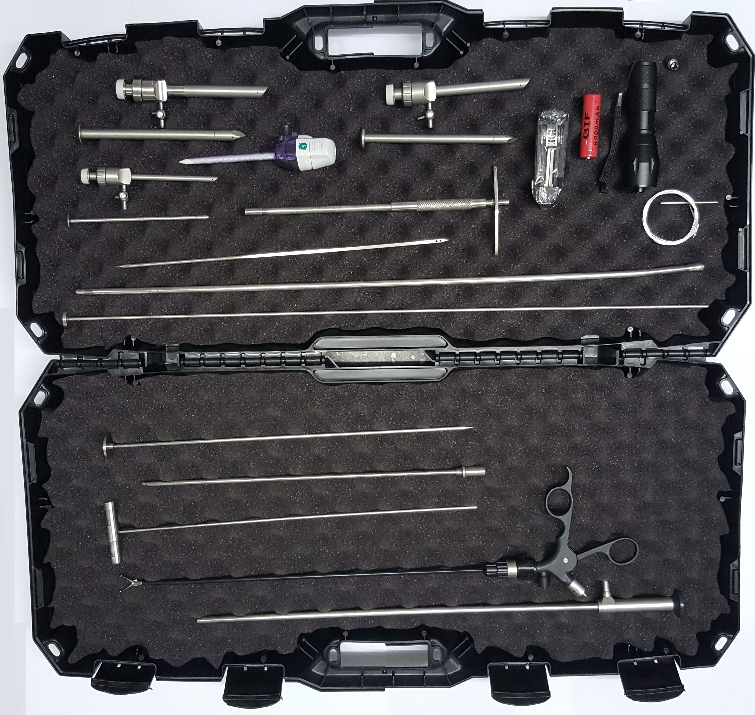 Clinical Endoscopy: Best Practices & Guidelines - maakby0