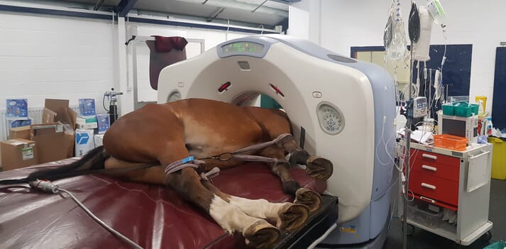 FIGURE (5) CT myelography is performed under general anaesthesia and takes approximately 30 to 45 minutes to complete