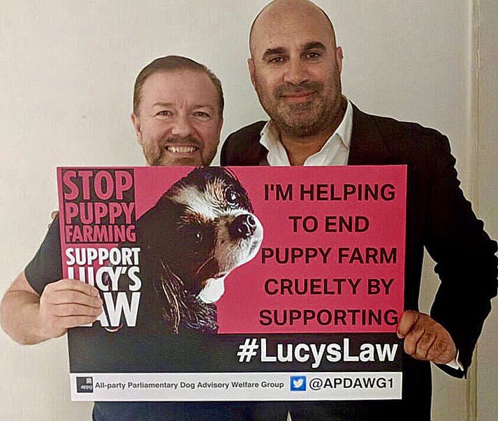 FIGURE (1) Ricky Gervais was a keen supporter of Lucy’s Law and Marc’s efforts