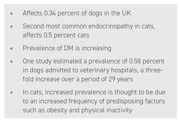 BOX (1) How common is diabetes mellitus in dogs and cats? (Guptil et al., 2003; Prahl et al., 2007; Mattin et al., 2014; O’Neill et al., 2016)