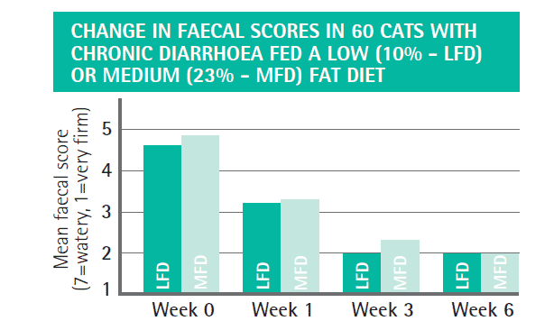 FIGURE (3) Graph to show role of dietary management in cats with chronic diarrhoea. Cats showed improvements in faecal score using a highly digestible low (10 percent dry matter) or medium (23 percent dry matter) fat diet within three weeks. There was no difference in clinical responses between the diets, indicating dietary fat content did not appear to affect the outcome and supporting the role of highly digestible diets in the management of feline chronic diarrhoea (Laflamme et al., 2011; figure adapted from the Purina Pro Plan Veterinary Product Guide)
