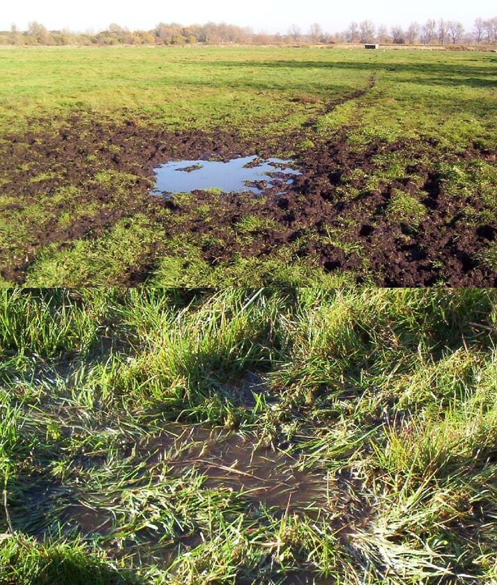 Pasture flooding