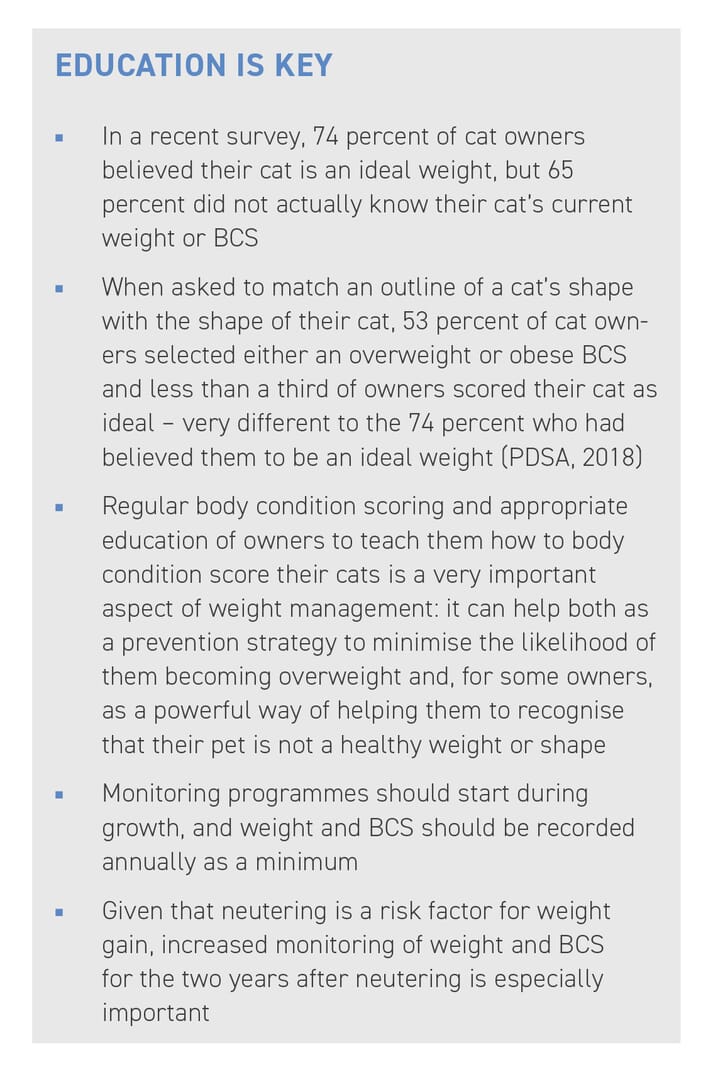 BOX (1) Education of what a healthy cat looks like is important. There is currently a mismatch between the number of cats classified as overweight or obese and the number of owners recognising this