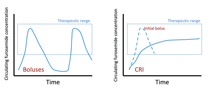 FIGURE (3) A furosemide continuous rate infusion has been shown to have an equivalent diuretic action compared to bolus therapy, but avoids peaks and troughs in intravascular volume, which may help limit some of the adverse effects of the drug