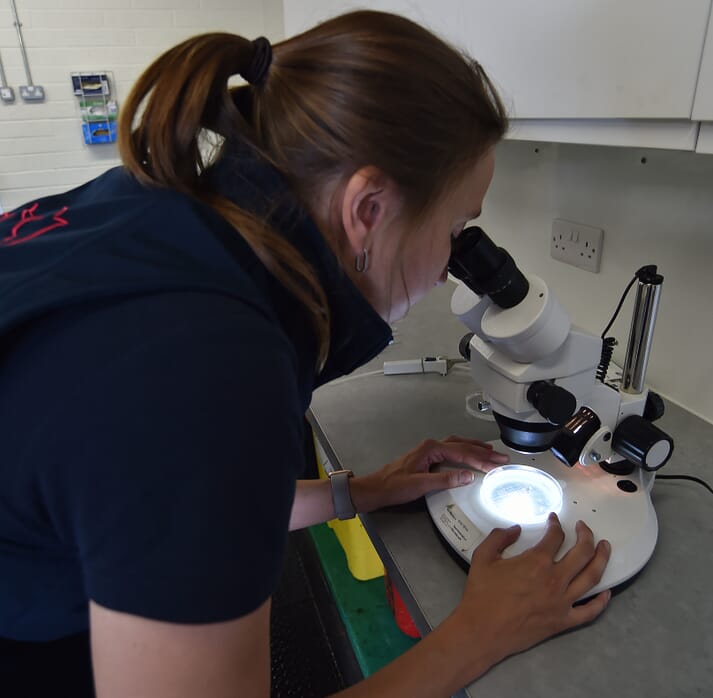 FIGURE (3) Kaatje Ducheyne checking a sample under the microscope after a wash out