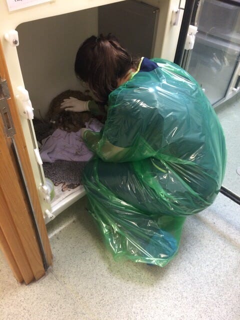 FIGURE (2) Barrier nursing with full PPE of a patient with unknown disease status