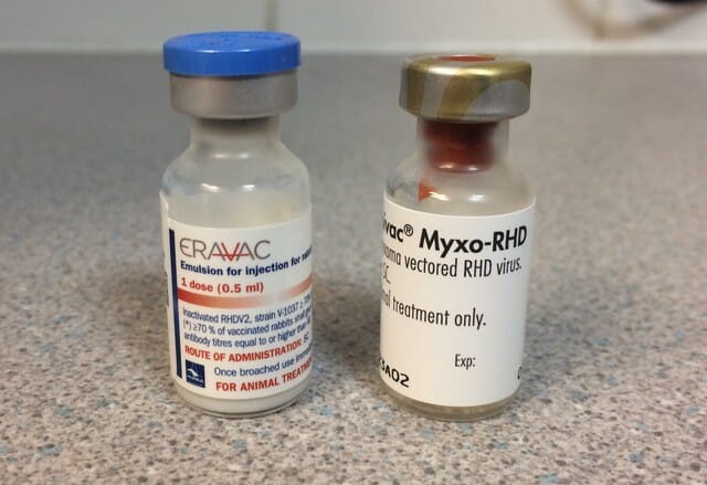 FIGURE (3) Nobivac Myxo-RHD and Eravac are both licensed for pet rabbits and when used correctly together can provide full cover for RHDV1 and RHDV2, as well as myxomatosis