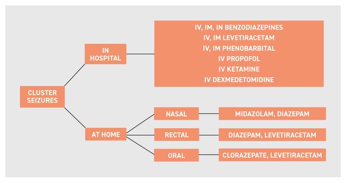 A Guide To Managing Cluster Seizures In The Clinic And At Home Veterinary Practice