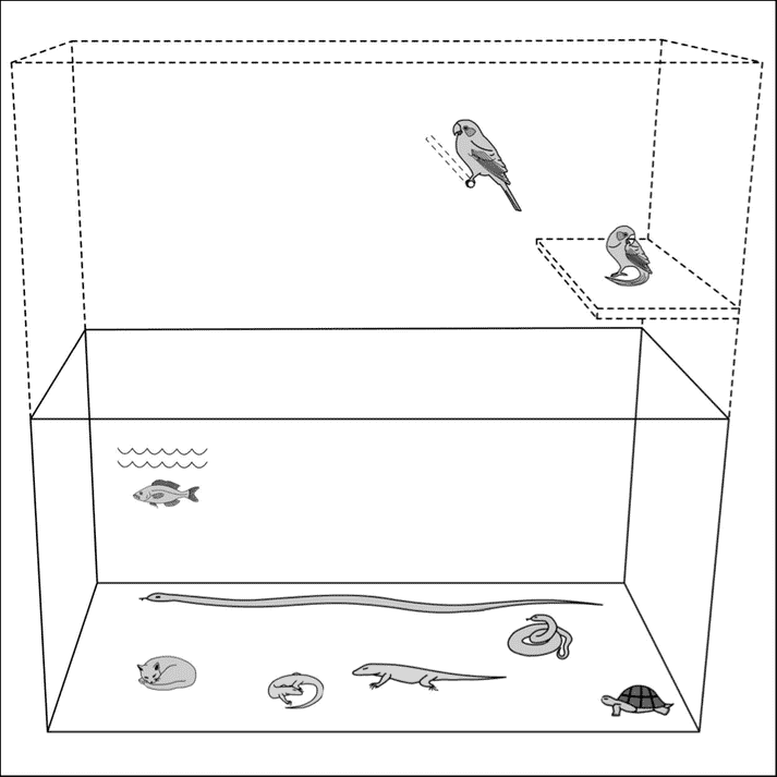 Diagram for spatial reference