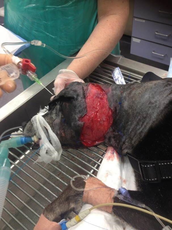 Wound lavage