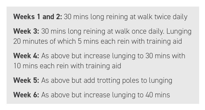 BOX (1) An example of a non-ridden exercise programme (this should be altered according to the horse’s fitness and ability)