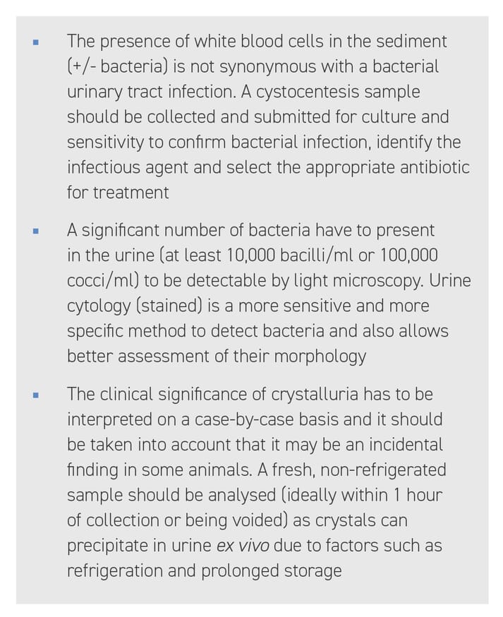 BOX (2) Important considerations when interpreting urinalysis findings