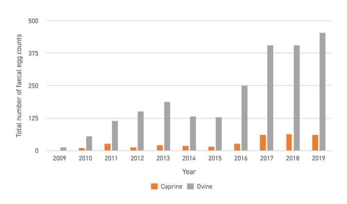 FIGURE (1) Total number of caprine and ovine faecal egg counts done each year at Synergy Farm Health in the past 10 years. Total of 66,000 breeding ewes are under the care of Synergy Farm Health in 2020