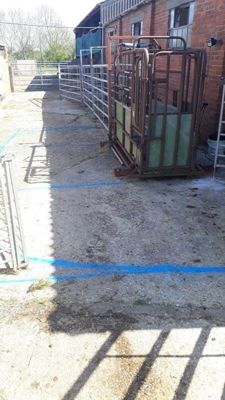 Social distancing lmarkings in a farm