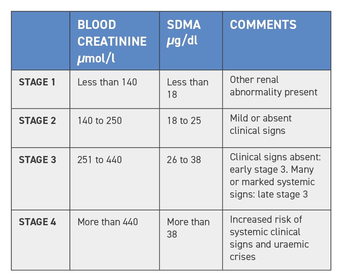 Iris Staging Chronic Kidney Disease Cats