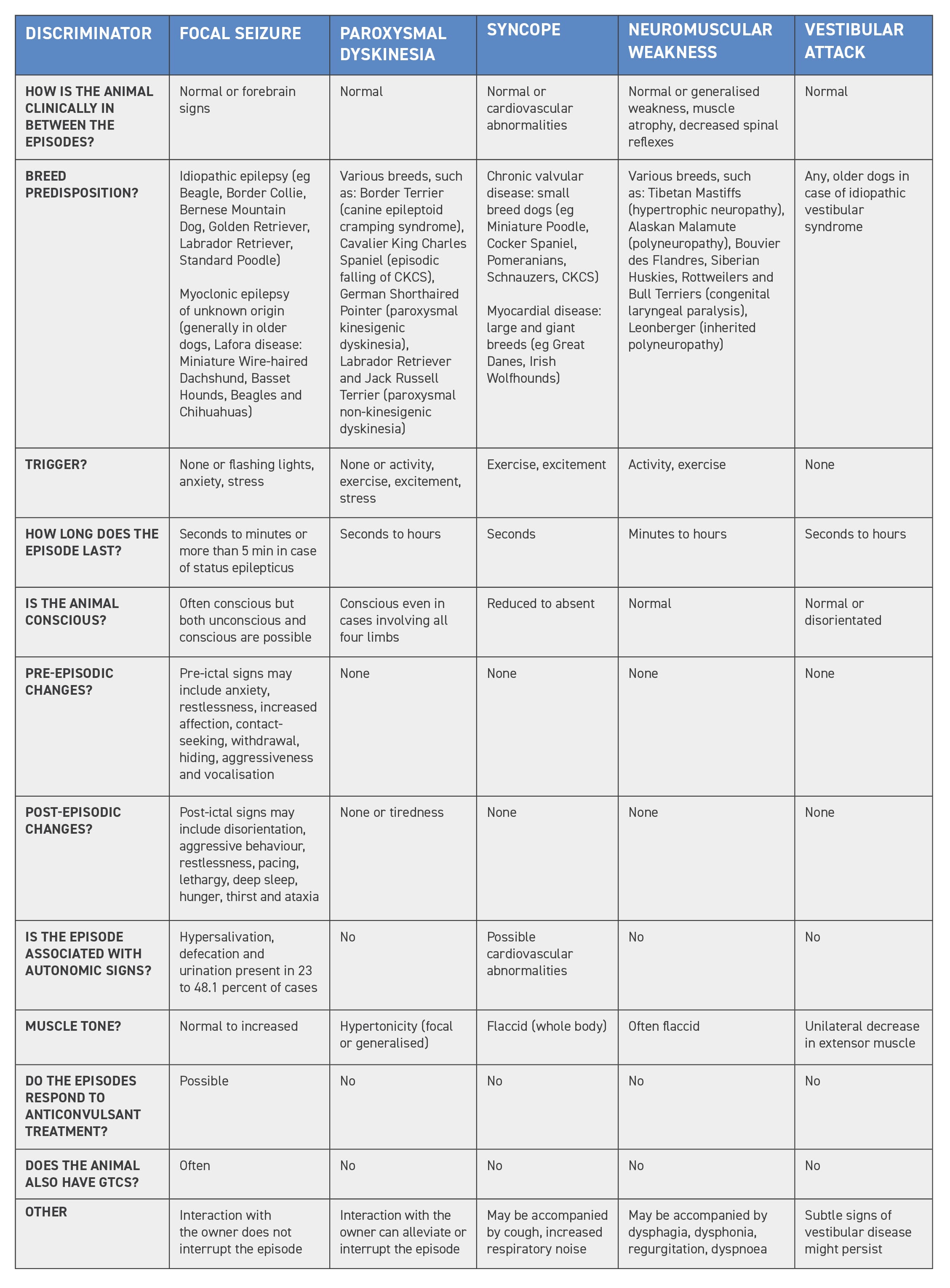 What causes focal seizures in dogs