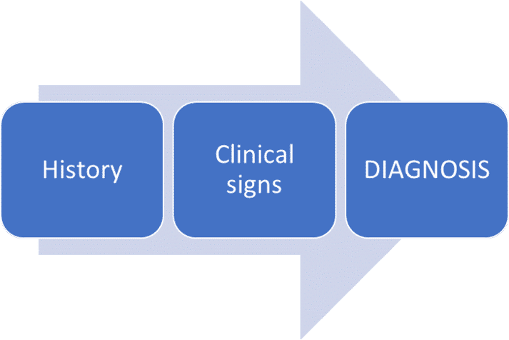 FIGURE (1) The diagnostic process involves taking a history, clinical and dermatological examination and basic screening tests. Careful rule-outs include parasites (especially fleas and mites), infection and food allergy