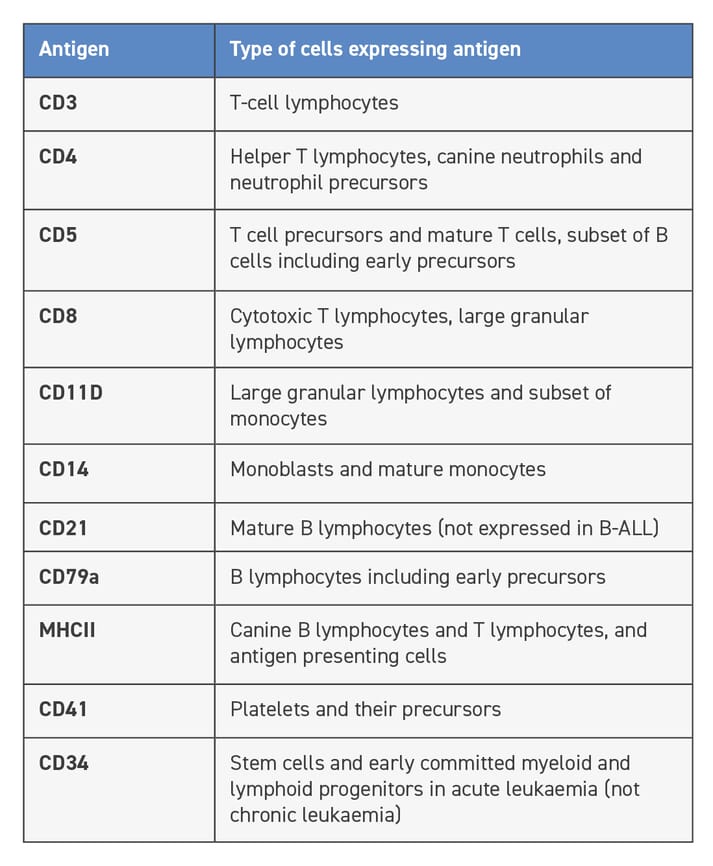 New Approaches In Canine Multicentric Lymphoma Veterinary Practice