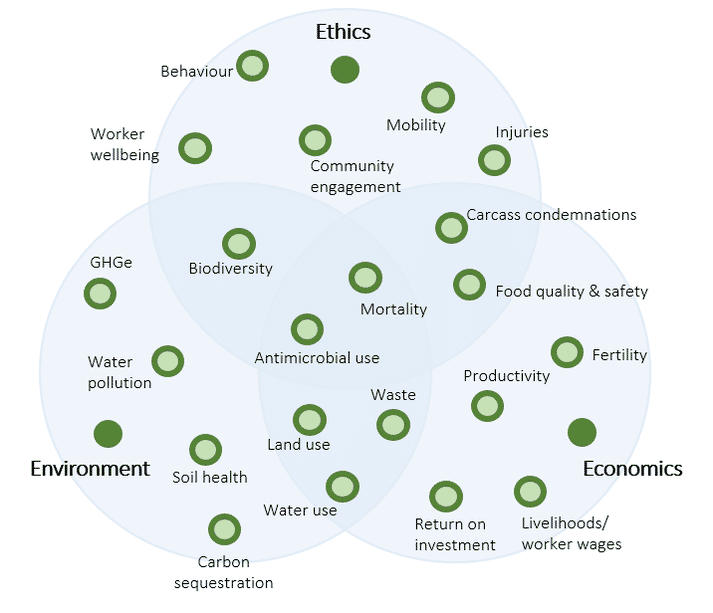 FIGURE (1) Examples of 3E outcome measure categories