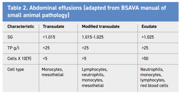 Investigating Protein Losing Enteropathy Veterinary Practice