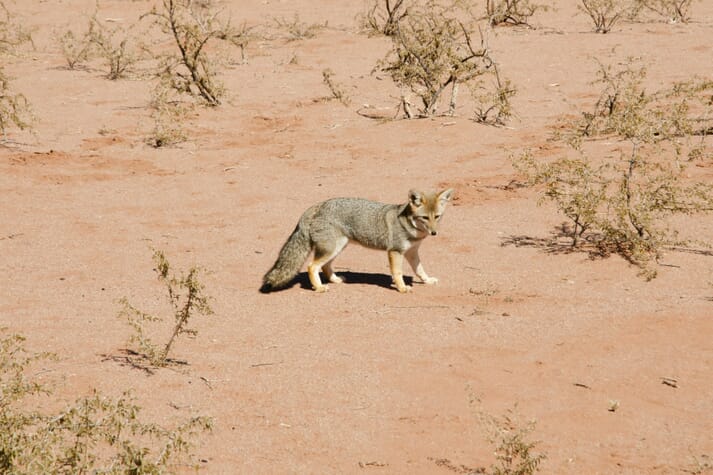 FIGURE (2) Drought or starvation can be severe, but does a positive mental mindset prevail?
