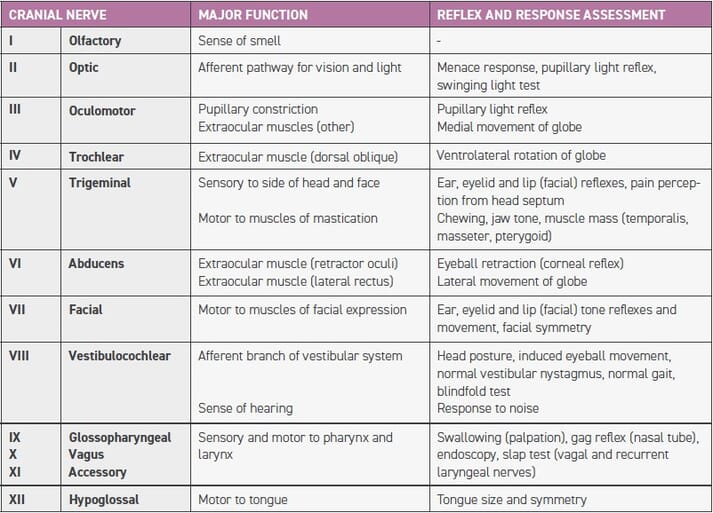 TABLE 1 Cranial nerve reflex and response assessment