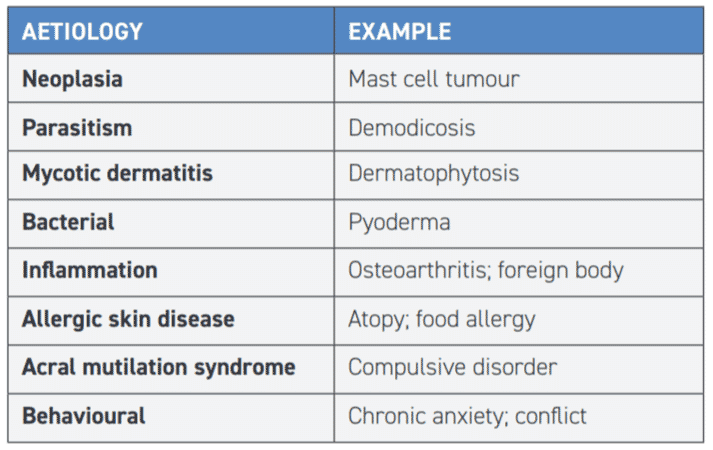 TABLE 1 Differential diagnoses for acral lick dermatitis