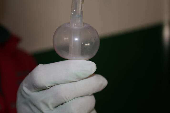 FIGURE 1 An equine embryo flushing catheter (EGG Technologies, Salisbury