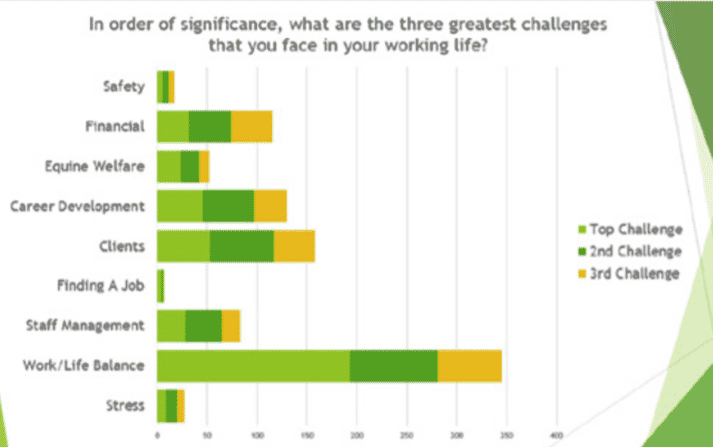 FIGURE 1 Responses from BEVA members to the question: ‘In order of significance, what are the three greatest challenges that you face in your working life?’