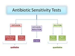 FIGURE 1 The most frequently used methods of antibiotic sensitivity testing