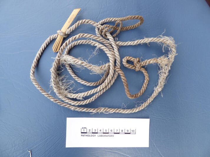When investigating incidents of “wildlife crime”, the veterinarian may need to examine snares, nets and traps