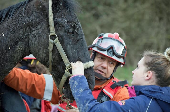 Finnigan was reunited with its owner after its unscheduled dip