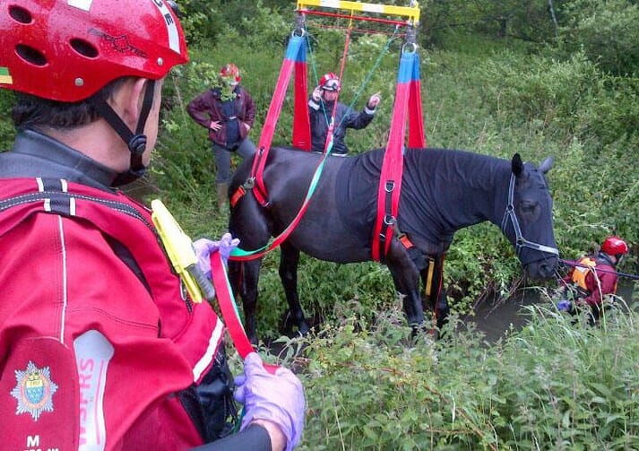 Action devices for horses