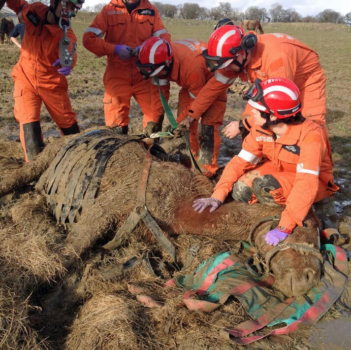 Tender loving care is required after a difficult muddy rescue