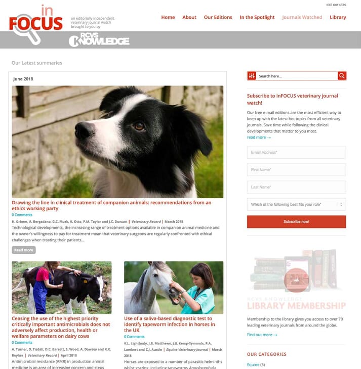 infocusvj.org