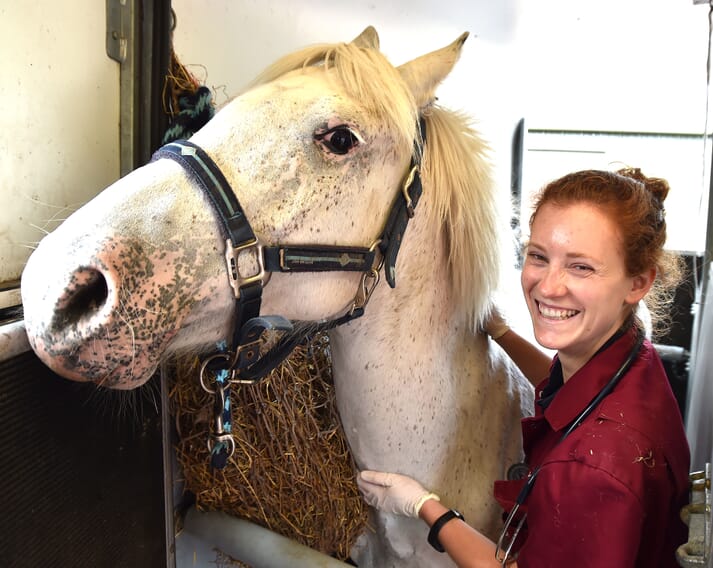 Ludovica was with a client, Louise Dunn, vaccinating her two horses, 9-year-old Sasha and 18-year-old Darcy, for flu and tetanus