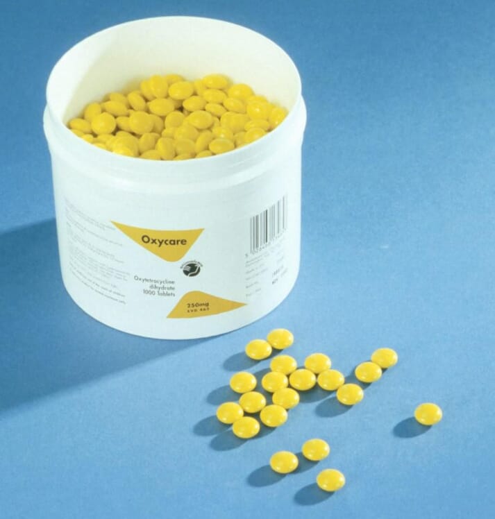 FIGURE 2 Oxytetracycline is often effective in antibioticresponsive diarrhoea seen in young German Shepherds
