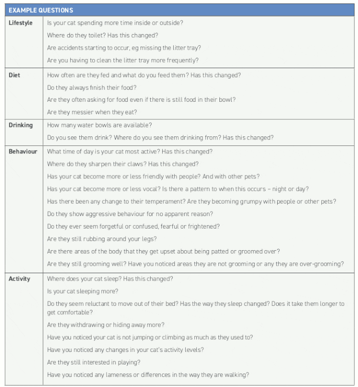 TABLE 1 Suggested questions for age-related changes and mobility changes