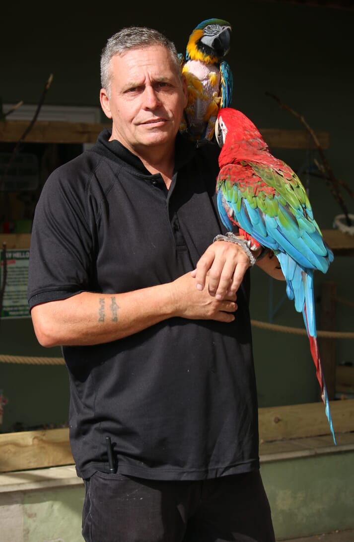 Since adopting a friend’s cockatoo, Steve Nichols has been passionate about parrots; he now has over 1,000 birds at the wildlife park