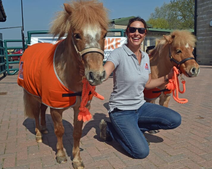FIGURE 2 The Brooke, which supports conditions for working horses and donkeys, was the chosen charity at the open day