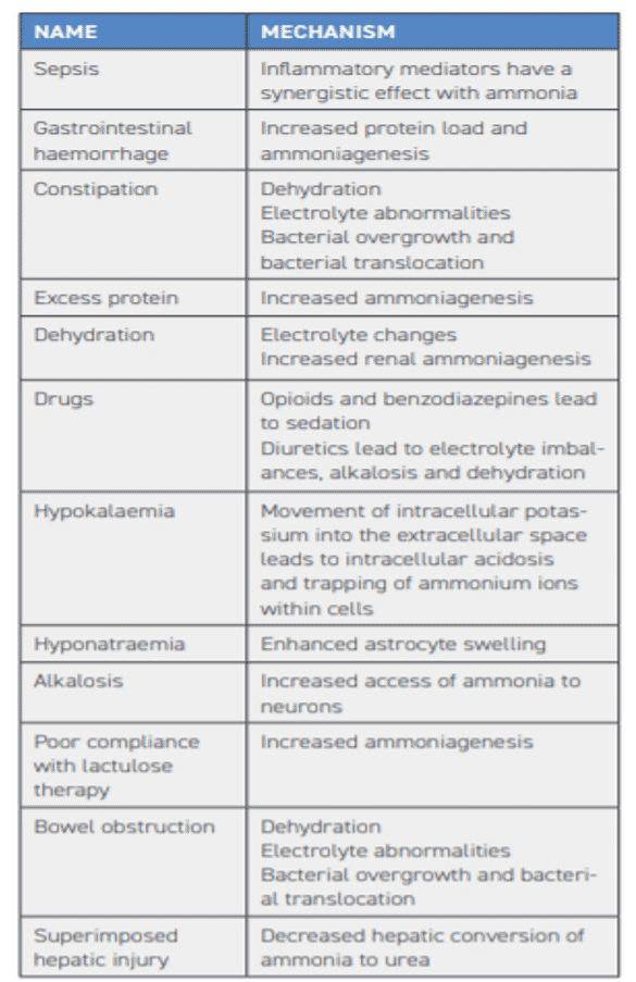 TABLE 1 Precipitating factors for hepatic encephalopathy