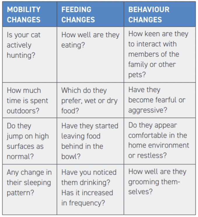 TABLE 1 Examples of questions asked on an owner questionnaire and discussed in the consultation